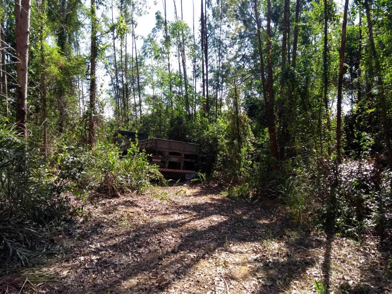 IMG-20210524-WA0153