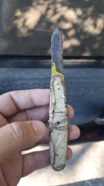 Materia Aracruz (1)-1