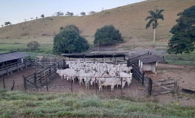 Materia Mimoso do Sul 31.03 (2)