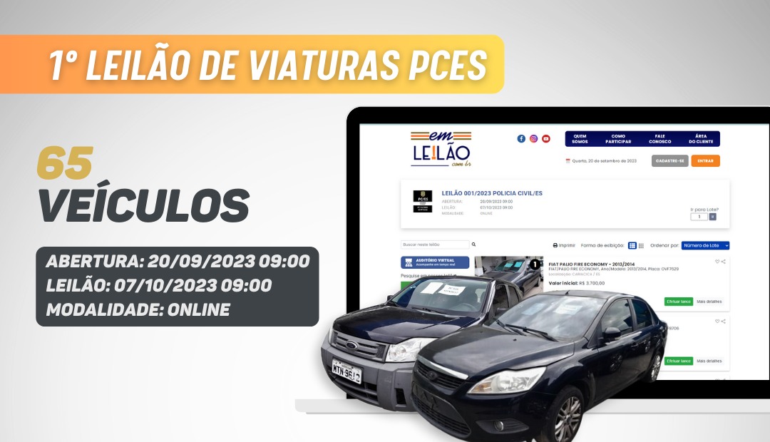 leilao