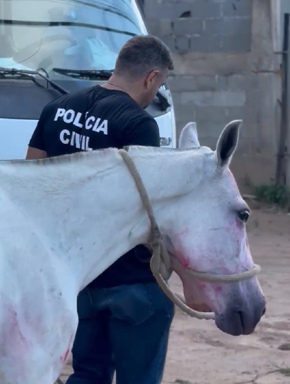 Captura de tela 2025-10-02 155439