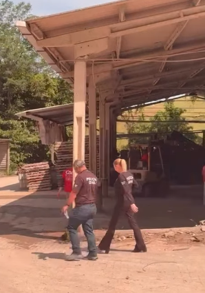 Captura de tela 2025-11-06 113634