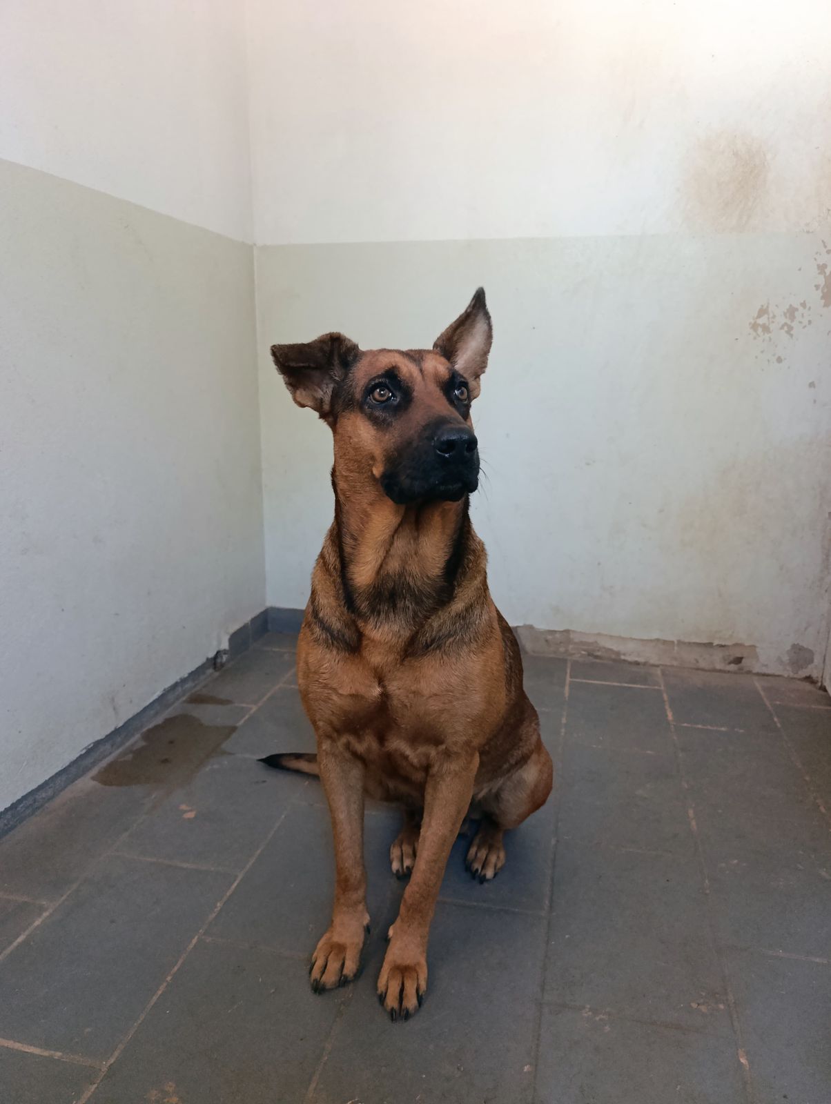 WhatsApp Image 2025-08-07 at 14.42.51