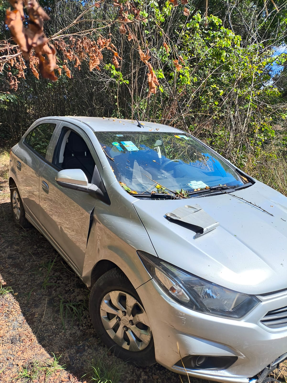 WhatsApp Image 2025-08-29 at 10.49.41