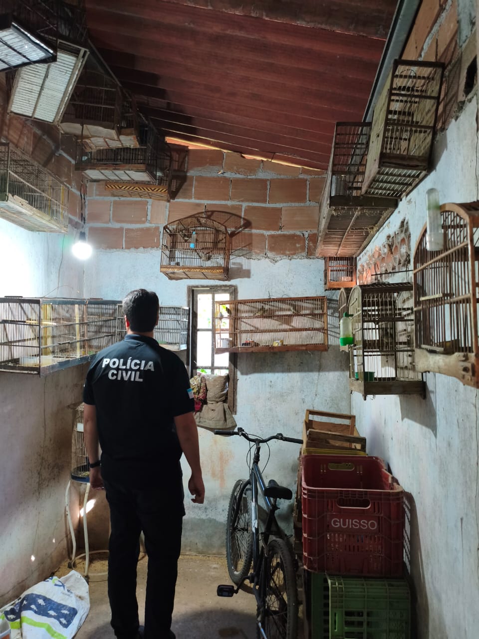 WhatsApp Image 2025-09-09 at 13.58.50 (2)