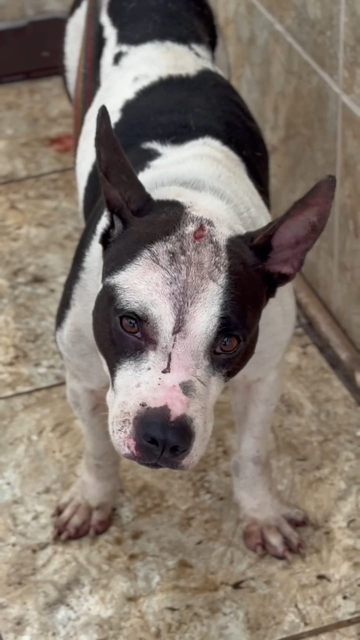 WhatsApp Image 2025-09-10 at 11.36.31