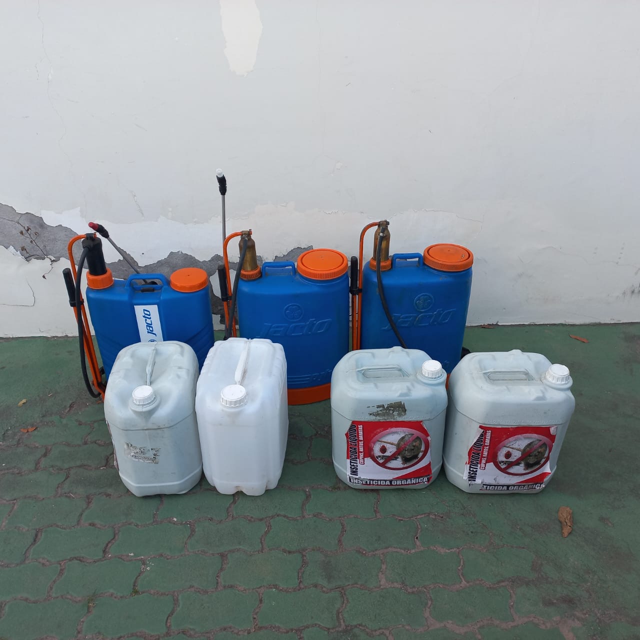 WhatsApp Image 2025-09-11 at 16.16.54 (1)