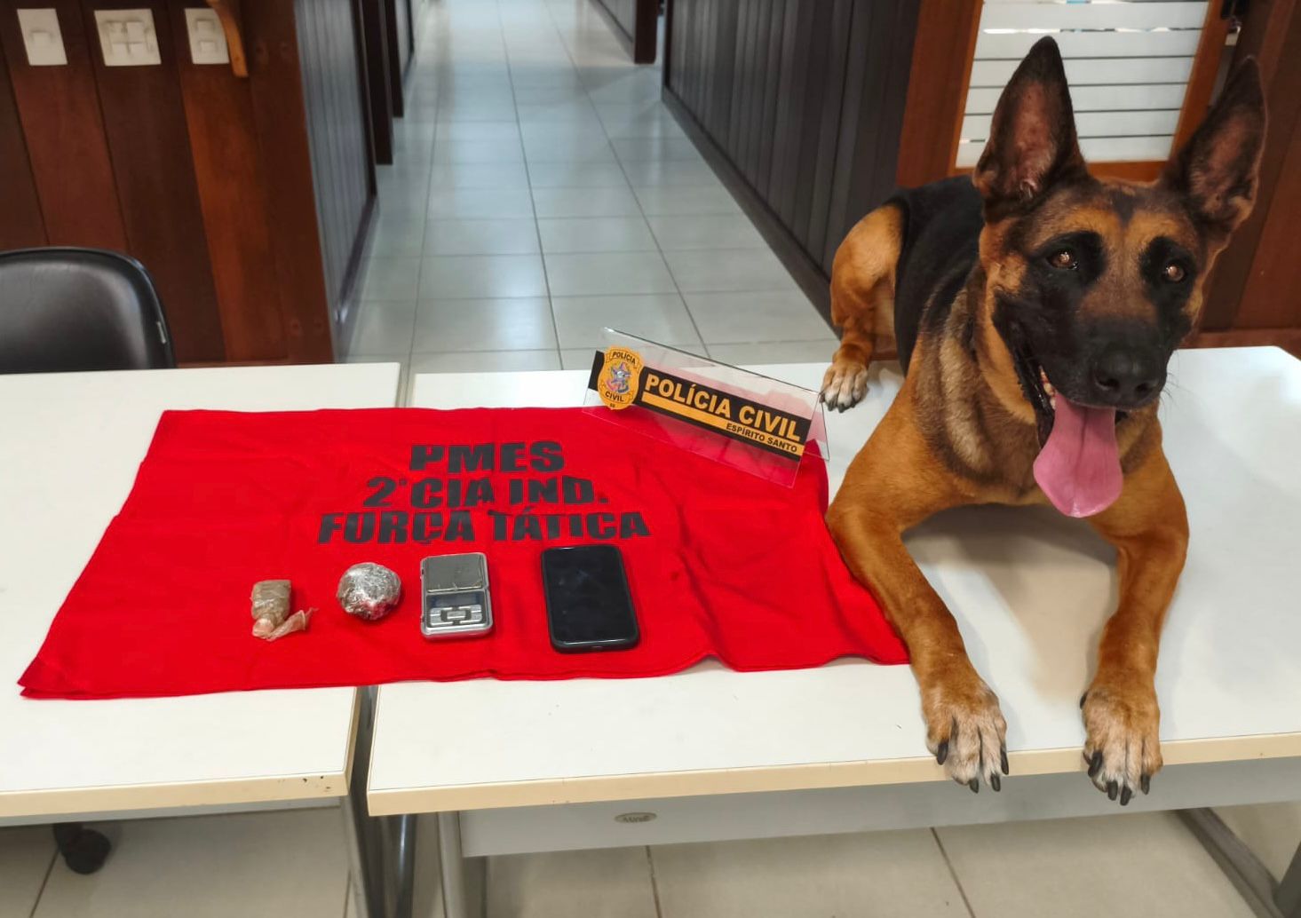 WhatsApp Image 2025-09-12 at 08.57.46