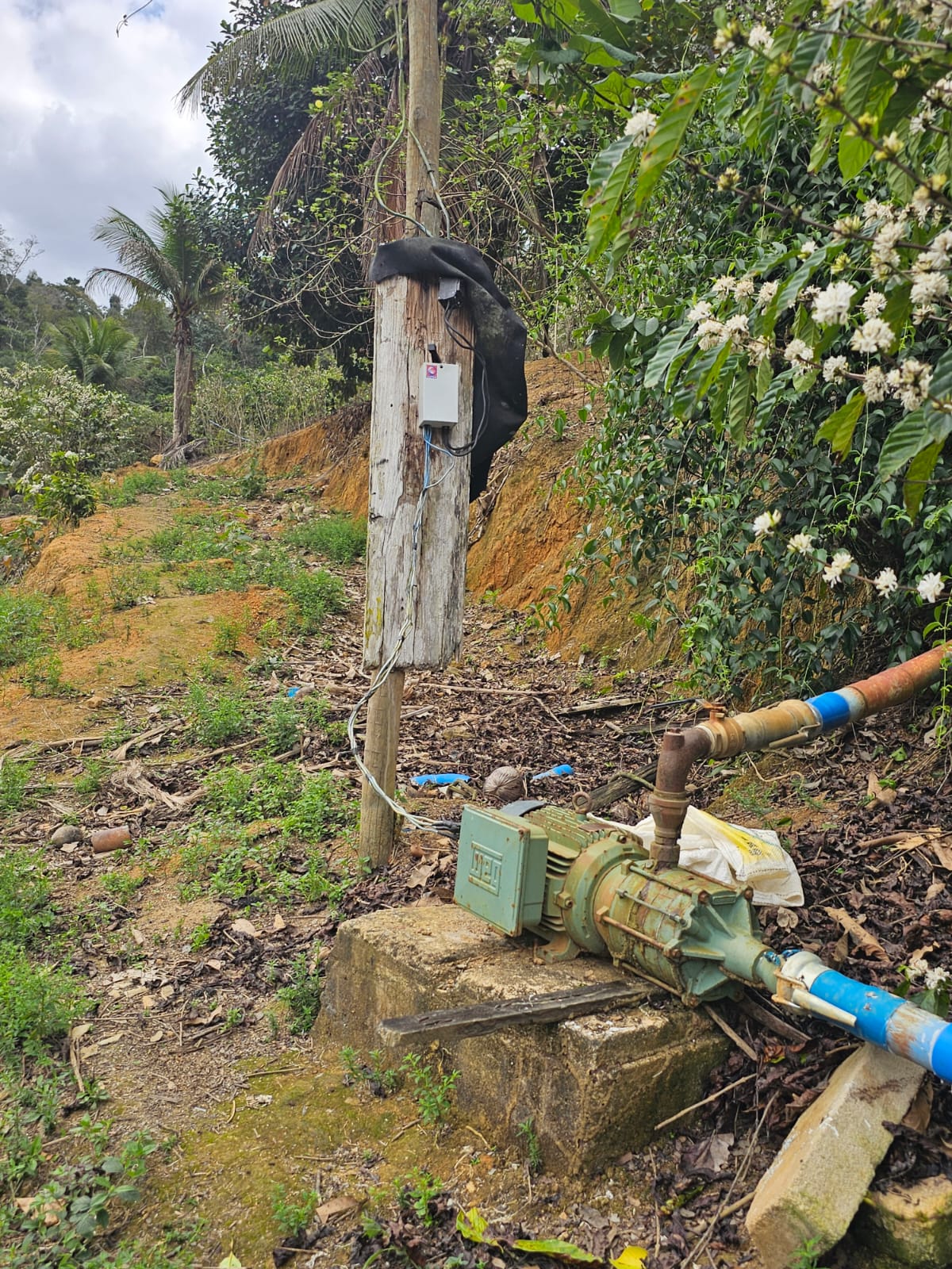 WhatsApp Image 2025-09-15 at 10.15.08 (3)