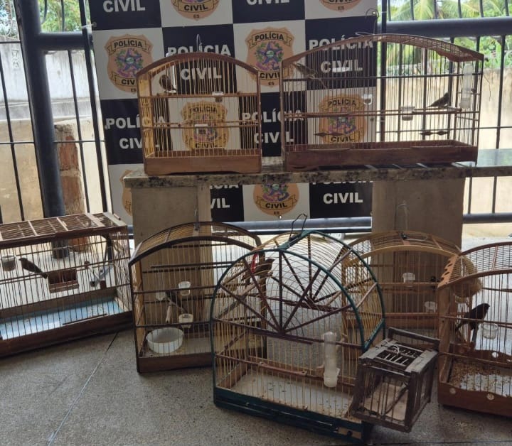 WhatsApp Image 2025-09-22 at 16.17.52