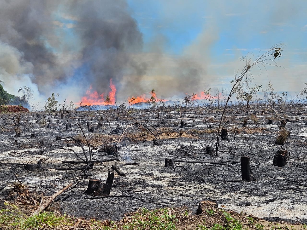 WhatsApp Image 2025-10-22 at 16.32.42