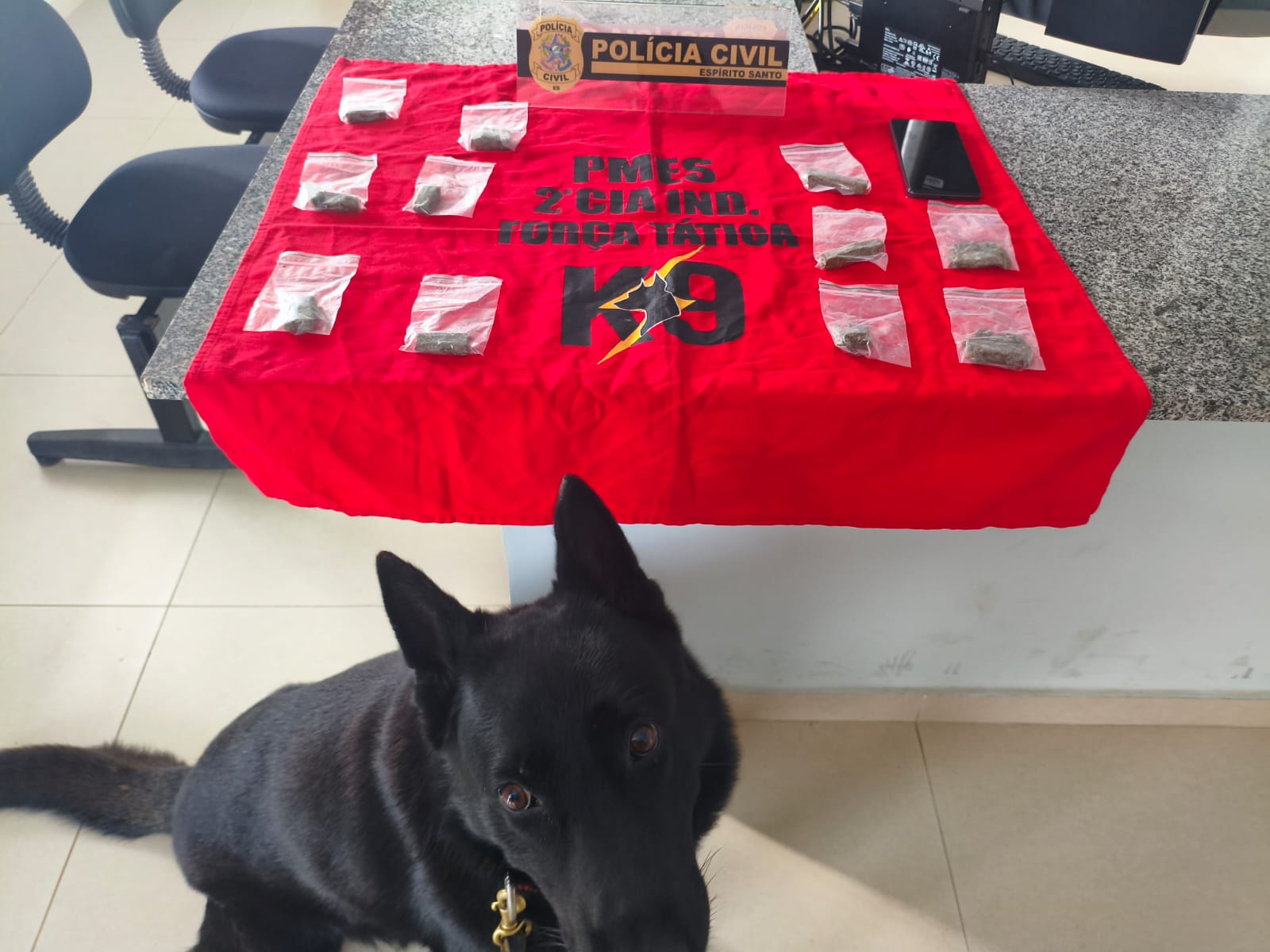 WhatsApp Image 2025-10-30 at 7.25.35 AM