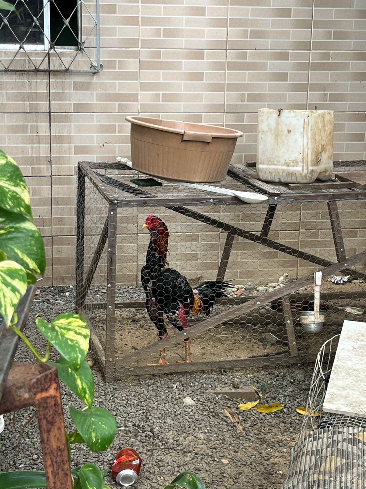 WhatsApp Image 2025-11-03 at 12.20.46