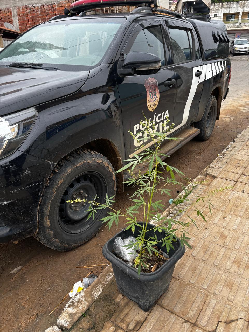 WhatsApp Image 2025-11-05 at 14.27.11