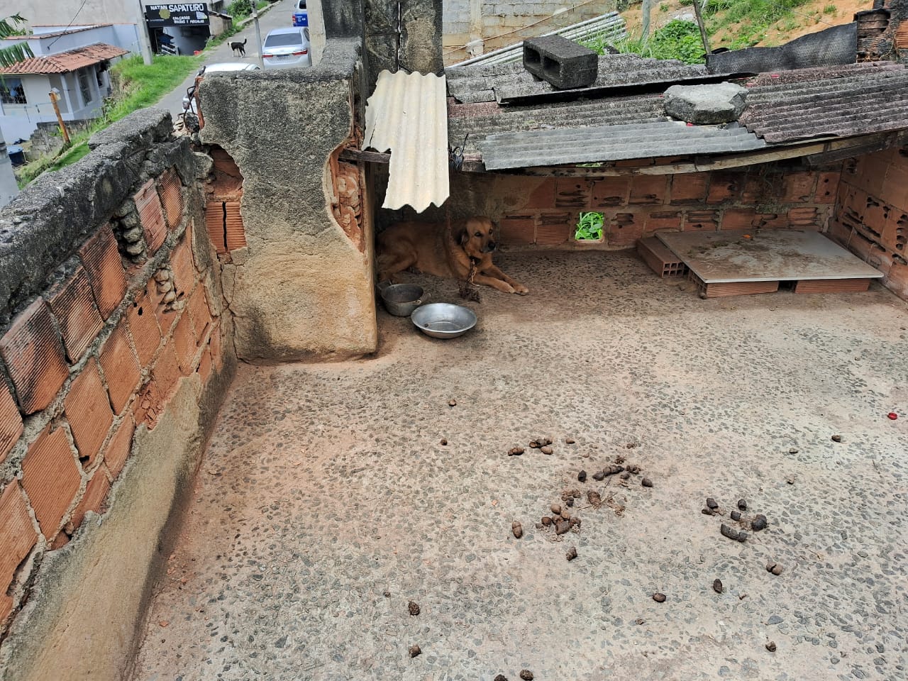 WhatsApp Image 2025-12-17 at 14.21.46