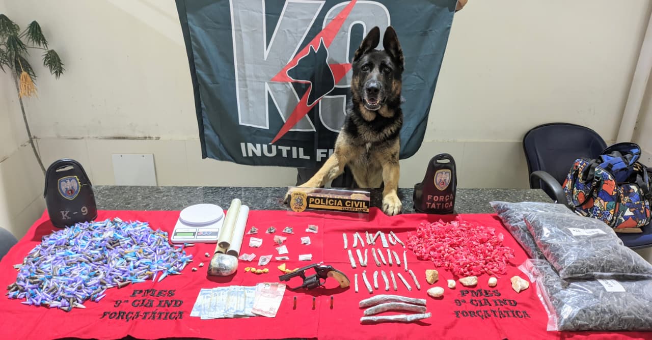 WhatsApp Image 2025-12-31 at 13.13.35