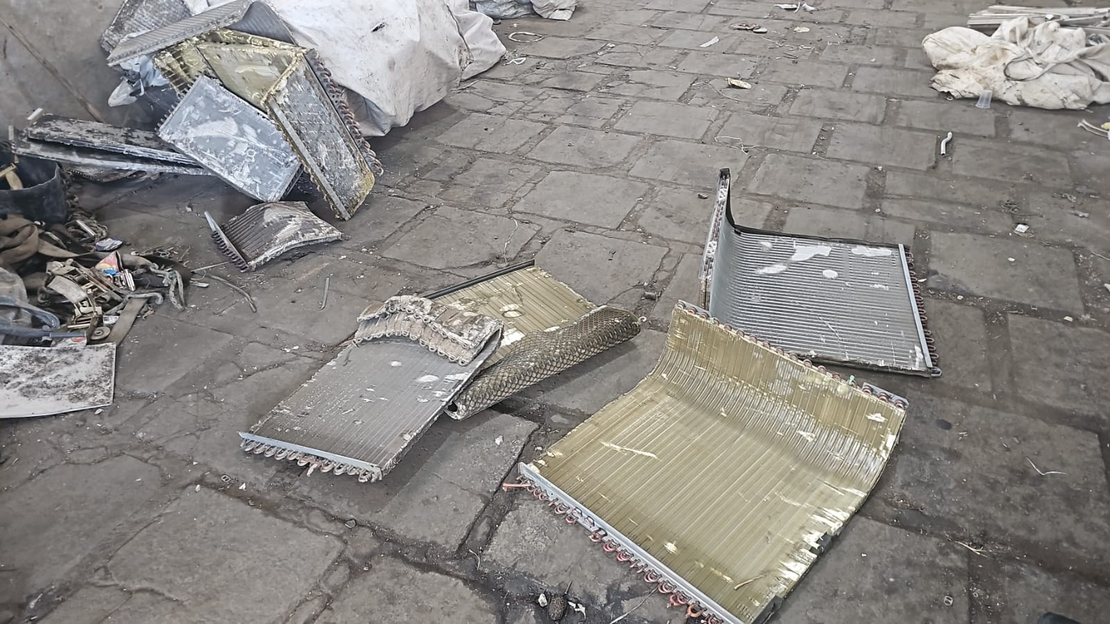 WhatsApp Image 2026-01-09 at 09.45.07