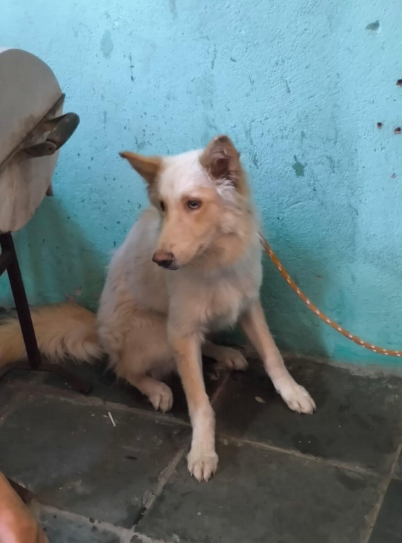 Captura de tela 2026-02-06 135430