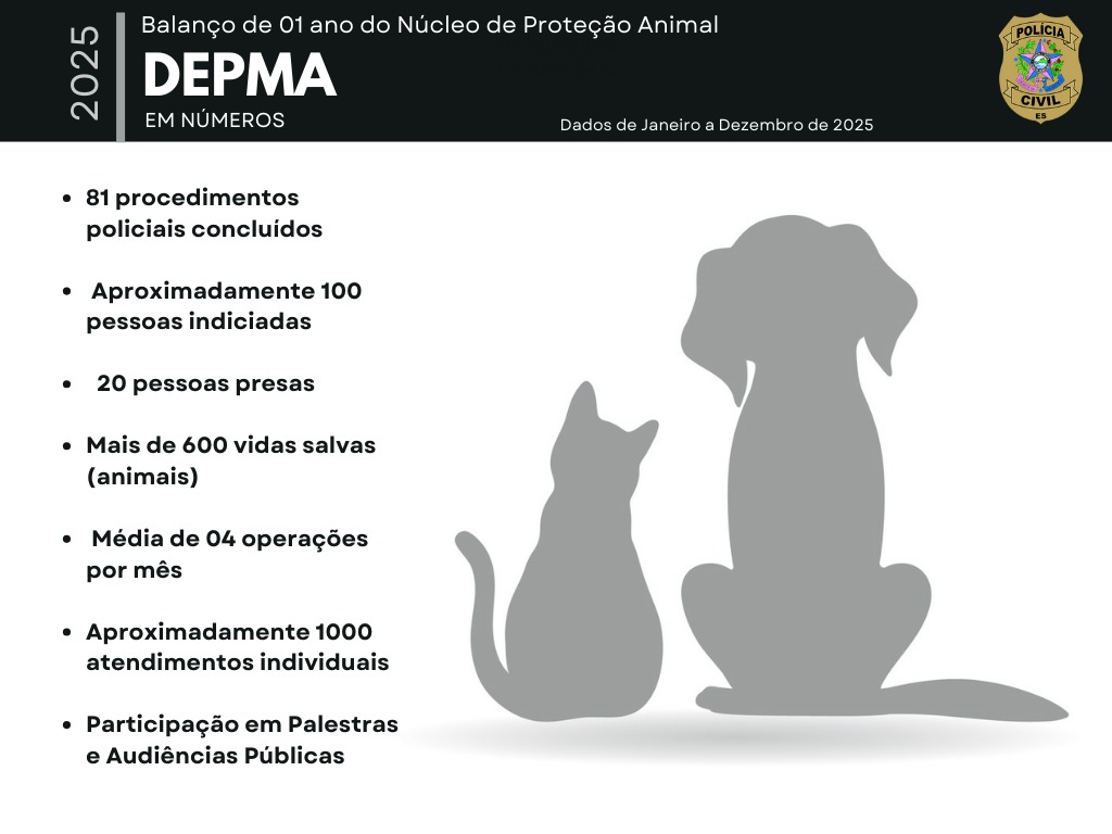 WhatsApp Image 2026-02-10 at 14.23.41