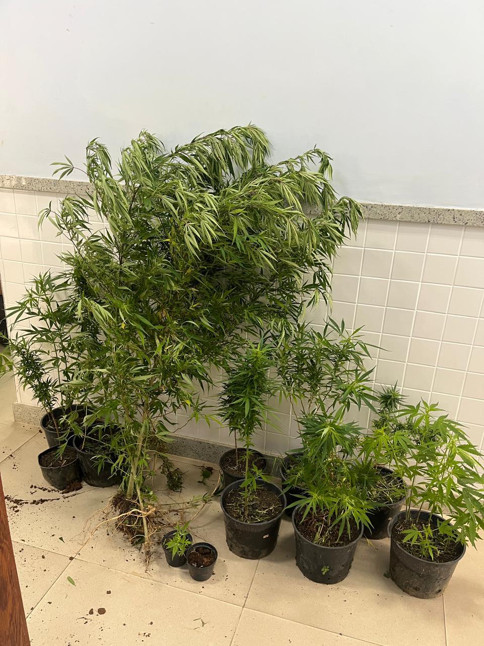 WhatsApp Image 2026-02-12 at 14.43.33