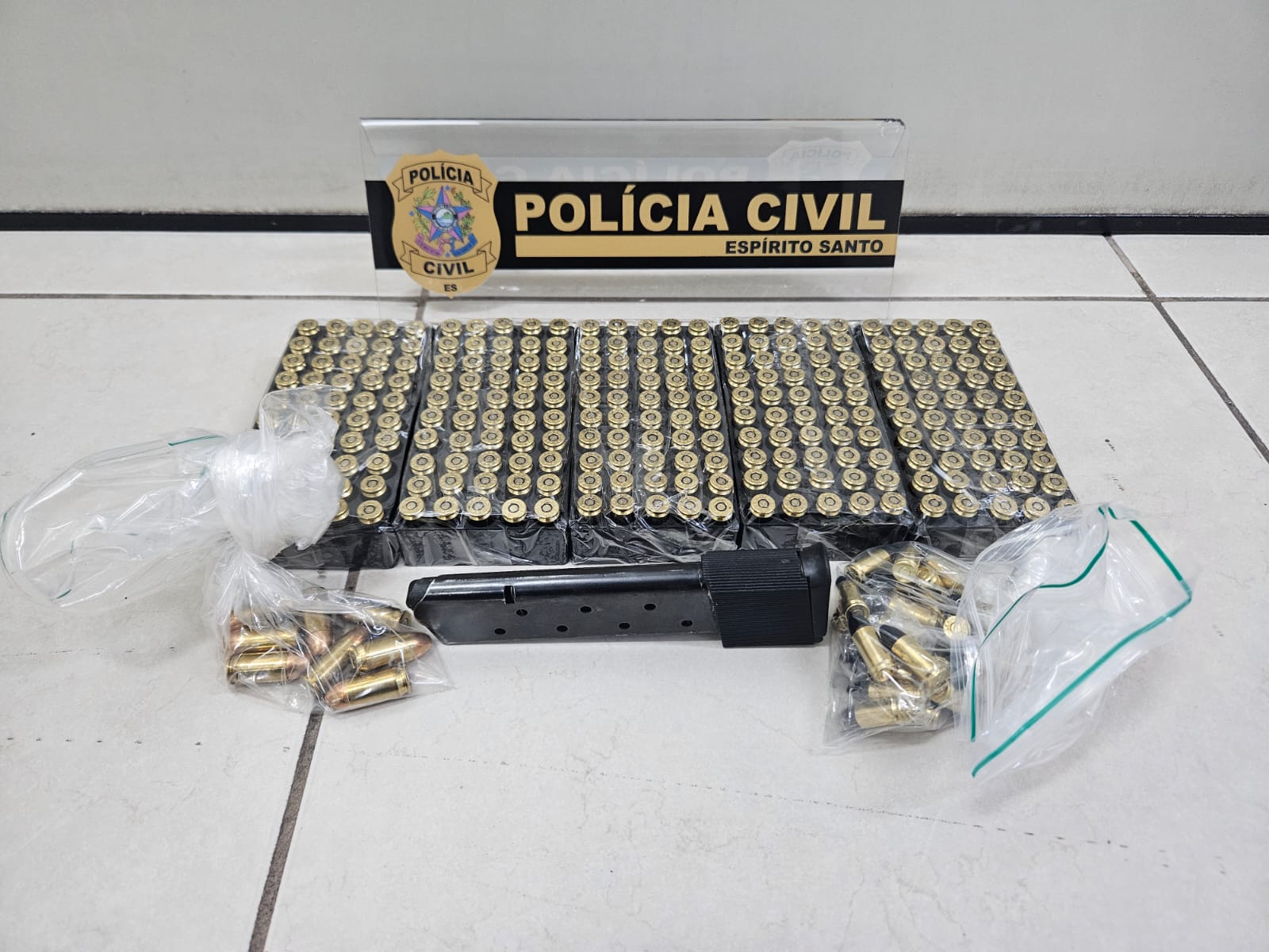 WhatsApp Image 2026-02-13 at 12.28.11