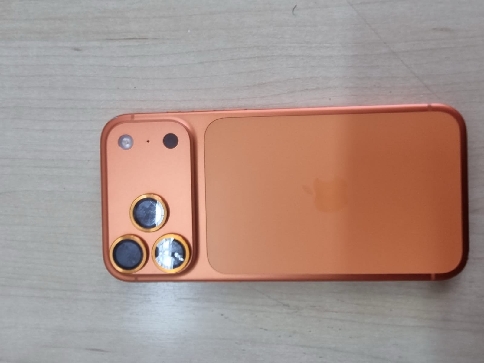 WhatsApp Image 2026-02-13 at 14.14.33