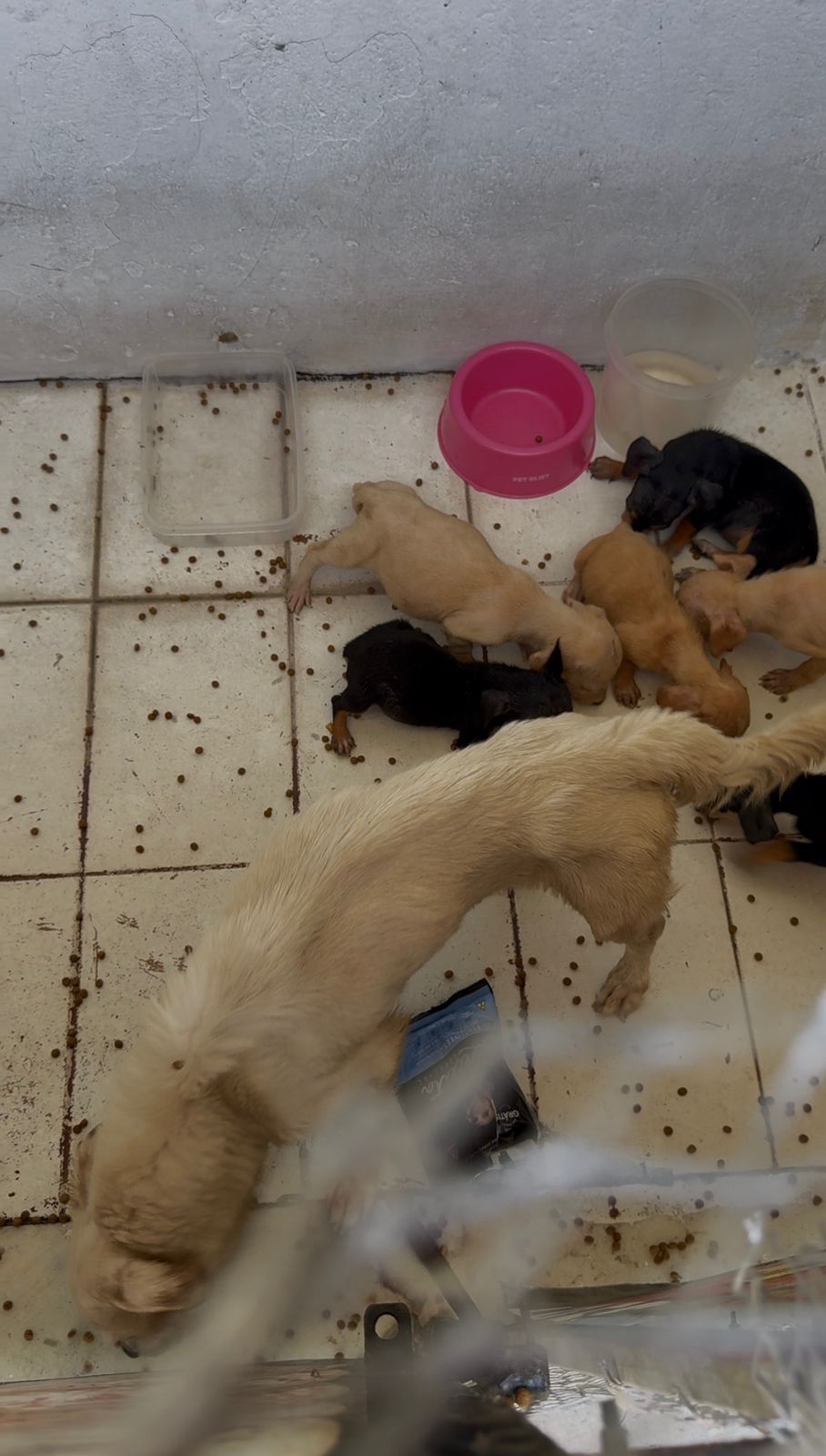 WhatsApp Image 2026-02-23 at 15.50.35 (2)