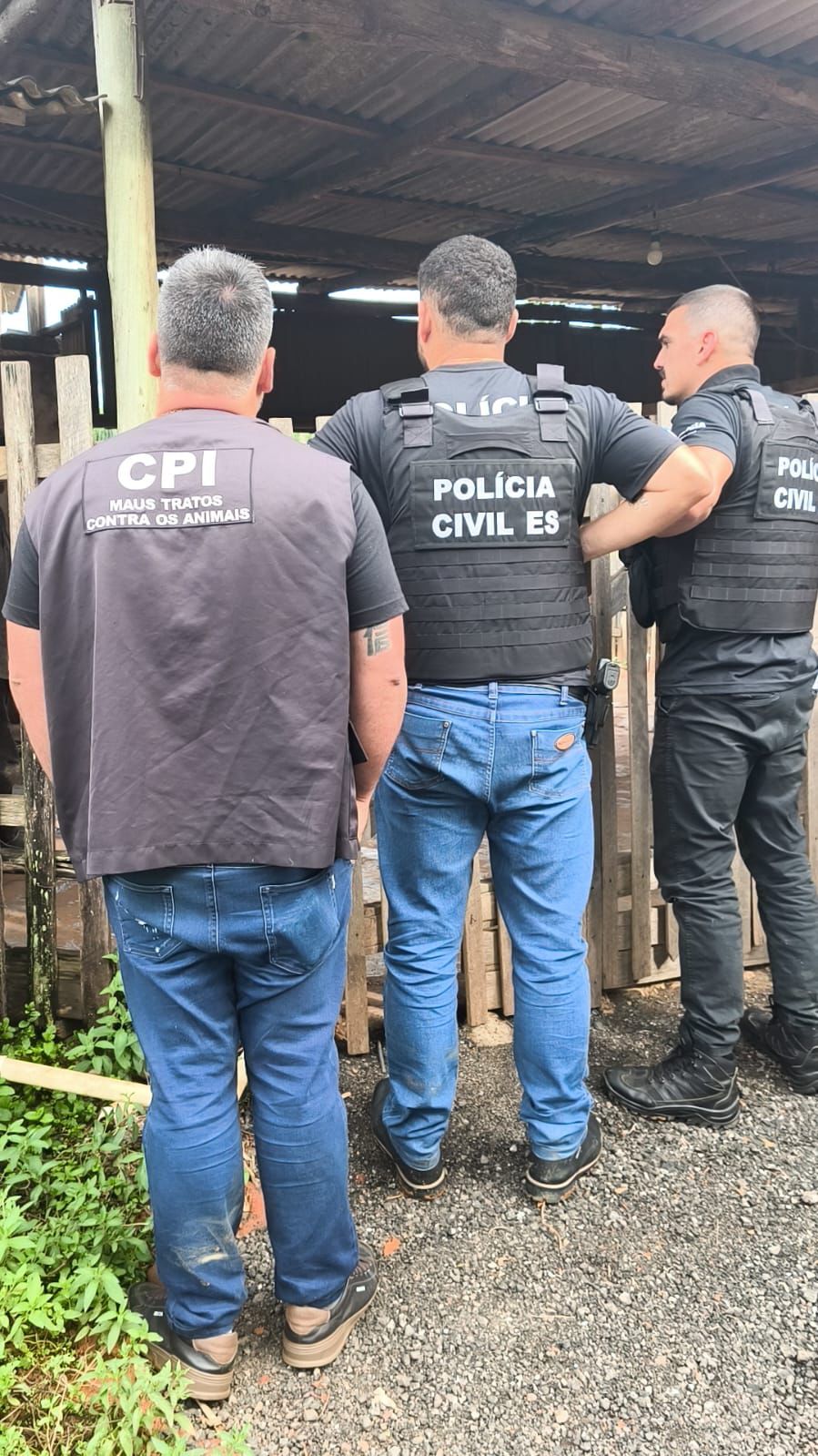 WhatsApp Image 2026-02-24 at 16.35.22-2