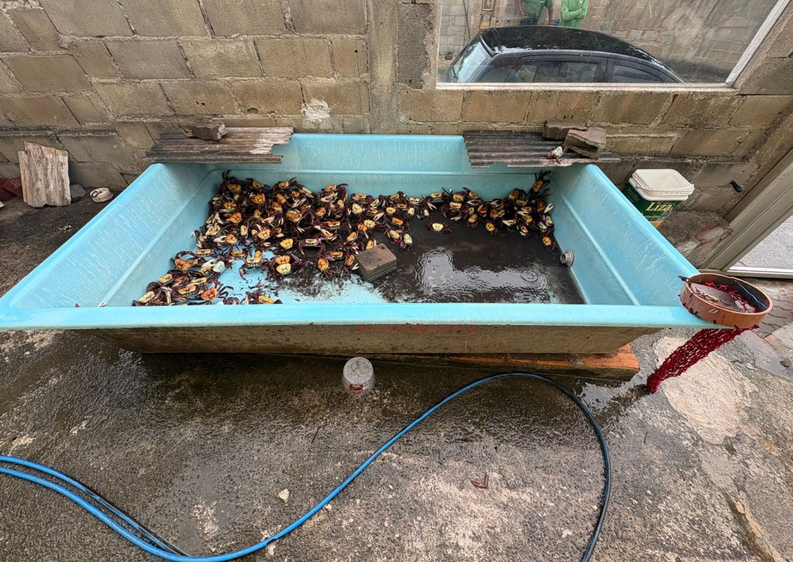 WhatsApp Image 2026-02-25 at 15.38.11