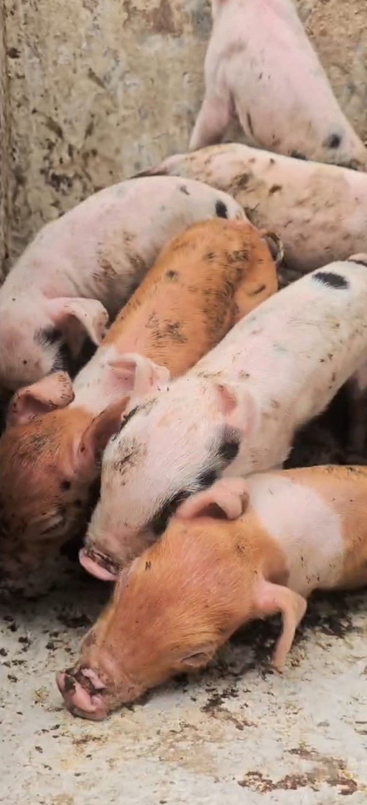 WhatsApp Image 2026-03-06 at 13.51.49