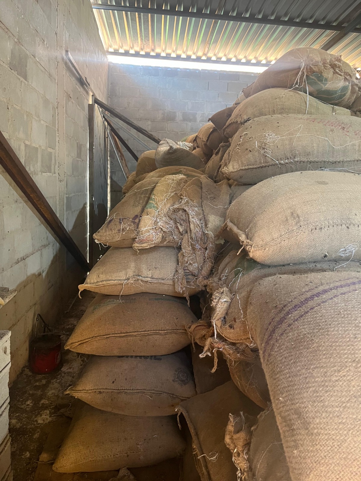 WhatsApp Image 2026-03-19 at 17.03.59