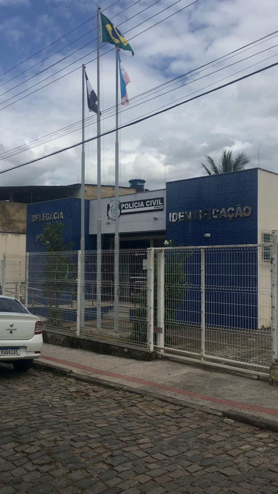 DP_Guacui-1