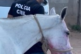 Captura de tela 2025-10-02 155439