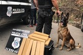 k9 zaCK (2)