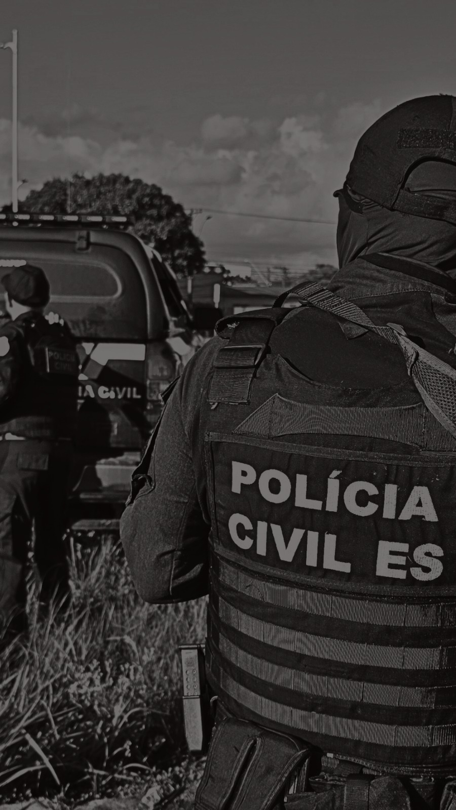 OIP em operação