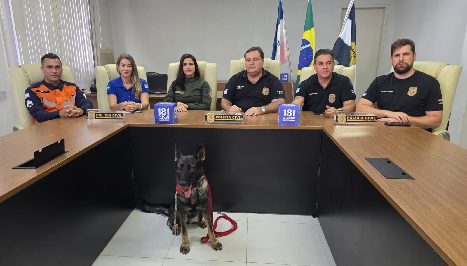 aea6dbca5-2be7-4a09-92da-56ae0d4ceccc-1|||Fotógrafo:Adriana Nascimento Amaral