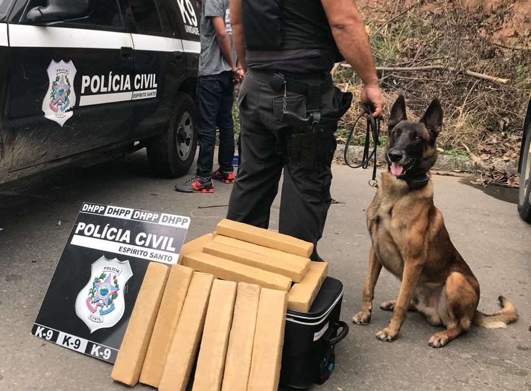 k9 zaCK (2)