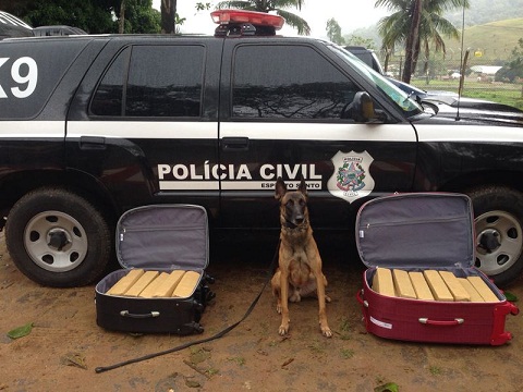 operacao pc prf canil guarapari 18 08