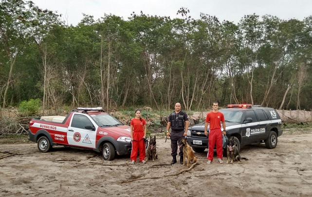 bombeiros pc caes corpo encontrado 06 11