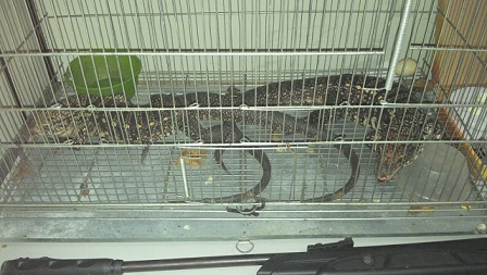 deten 06 02 002